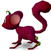 Mossm Callie