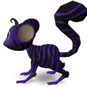 Mossm Blakeley X Codie