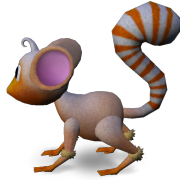 Mossm orange dream
