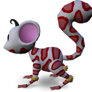 Mossm Anaconcio