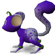 Mossm Appaloooosa Violet