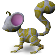 Mossm F CONDA FORCONDA